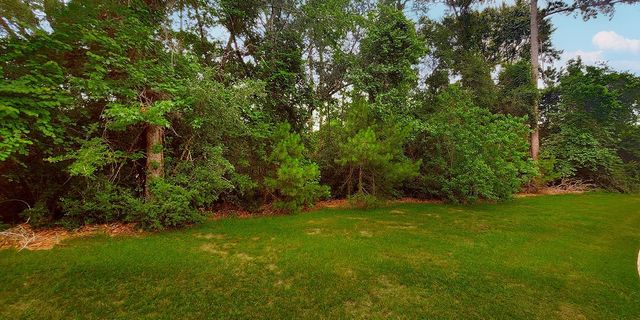 18 N Badger Lodge Circle, Spring, TX 77389