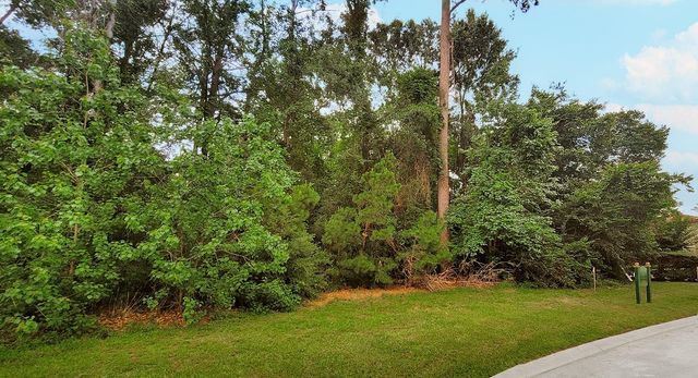 18 N Badger Lodge Circle, Spring, TX 77389