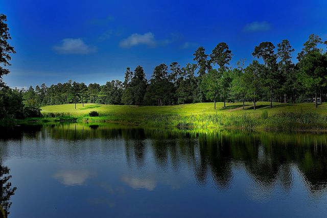 18 N Badger Lodge Circle, Spring, TX 77389