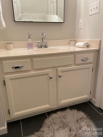 18711 Vineyard Point Lane, Cornelius, NC 28031