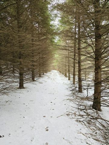 41498 S Sleepy Hollow Road, Gays Mills, WI 54631