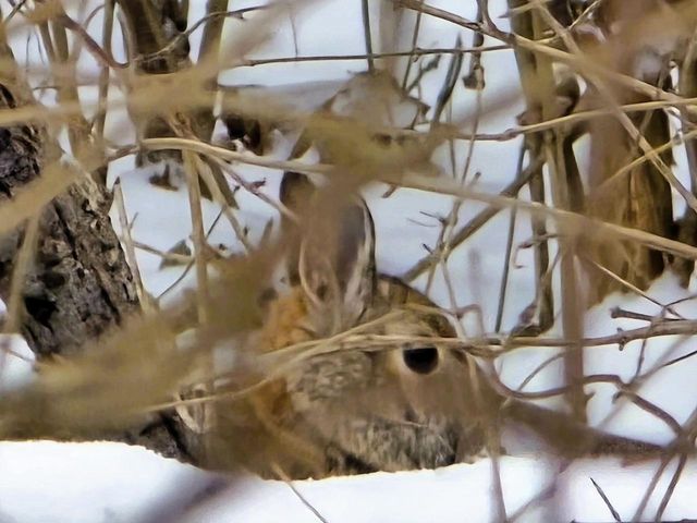 41498 S Sleepy Hollow Road, Gays Mills, WI 54631