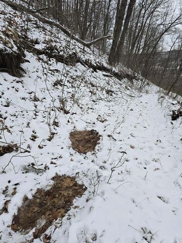 41498 S Sleepy Hollow Road, Gays Mills, WI 54631