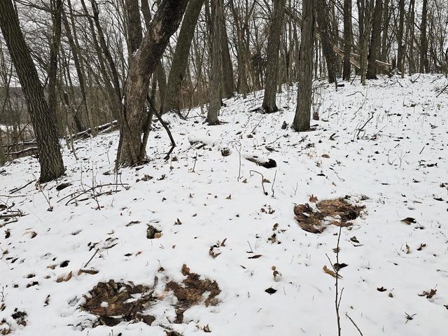 41498 S Sleepy Hollow Road, Gays Mills, WI 54631