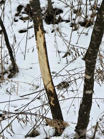 41498 S Sleepy Hollow Road, Gays Mills, WI 54631