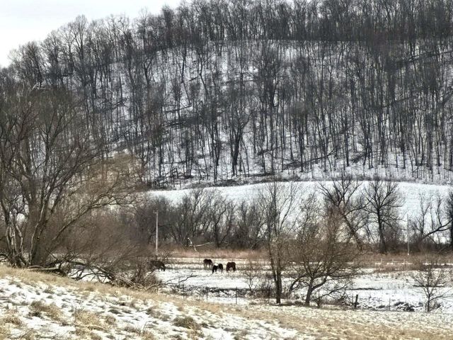 41498 S Sleepy Hollow Road, Gays Mills, WI 54631