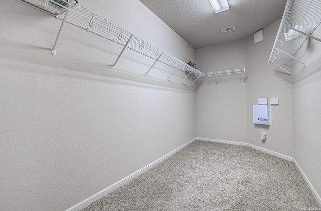 10614 Black Wolf Bay, San Antonio, TX 78245