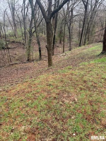 129 & 131 EDGEHILL Avenue, Creve Coeur, IL 61610