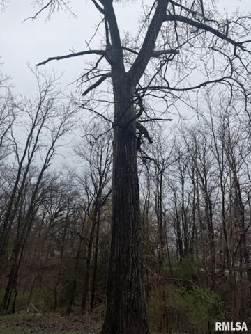 129 & 131 EDGEHILL Avenue, Creve Coeur, IL 61610