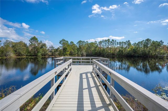 3144 GRANITE RIDGE LOOP, Land O Lakes, FL 34638