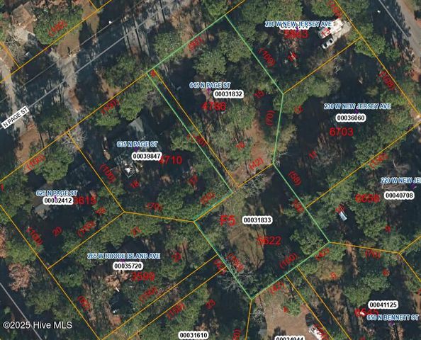 645 N Page Street, Southern Pines, NC 28387