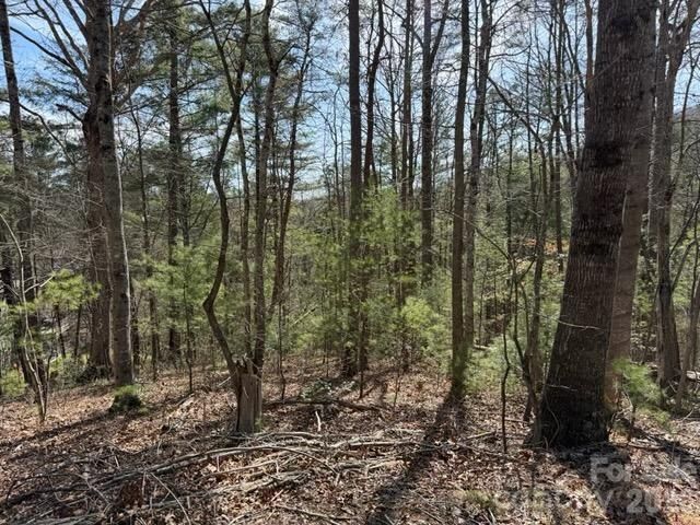 2 Frontier Court, Asheville, NC 28805