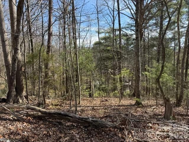 2 Frontier Court, Asheville, NC 28805