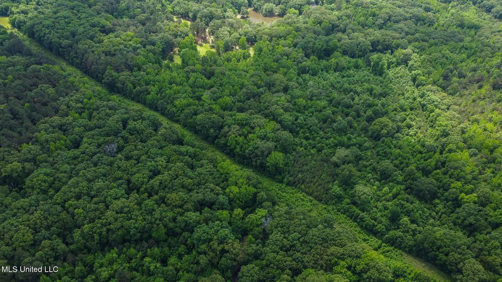 Jason Way Lane, Byhalia, MS 38611 — photo 3