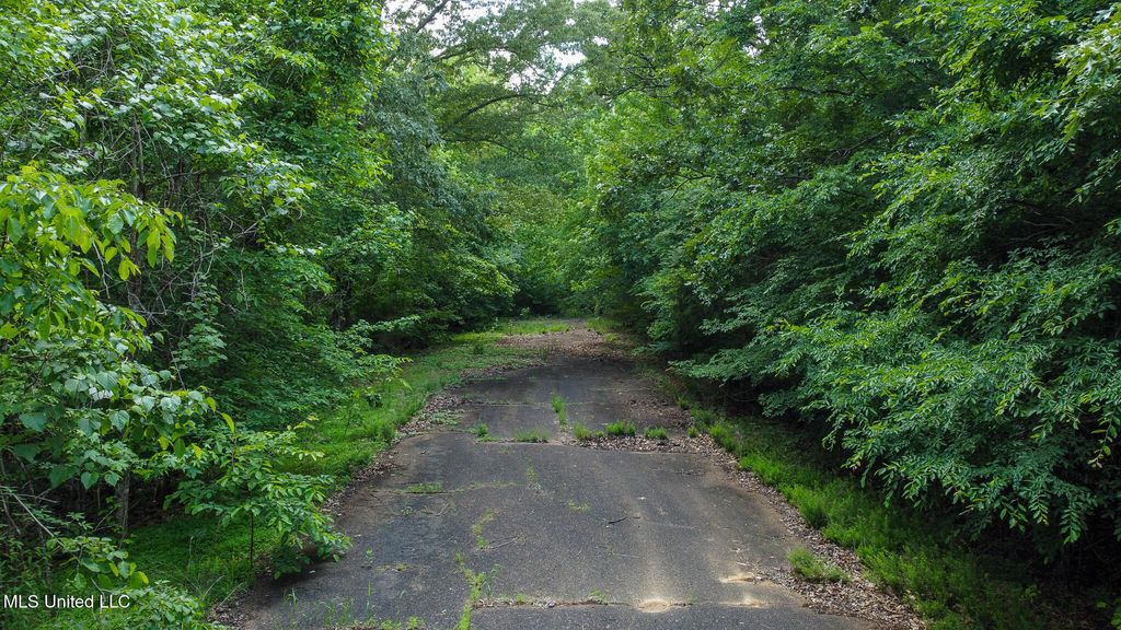 Jason Way Lane, Byhalia, MS 38611 — photo 5