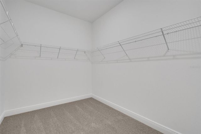 736 SUNSHOWER DRIVE, Lady Lake, FL 32159