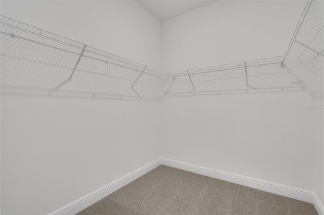 736 SUNSHOWER DRIVE, Lady Lake, FL 32159