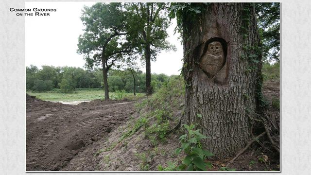 Lot 6 Cattle TRL, Kempner, TX 76539