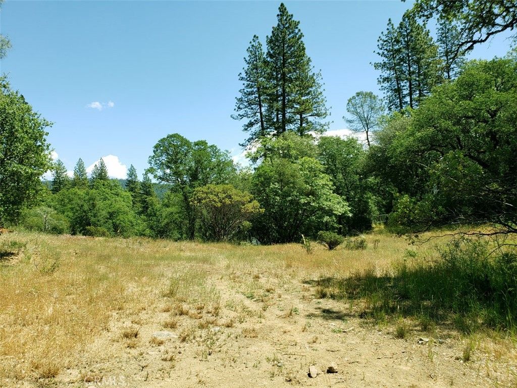 Image 10 of property listing at 13903 Ingersoll Drive, Dobbins, CA 95935