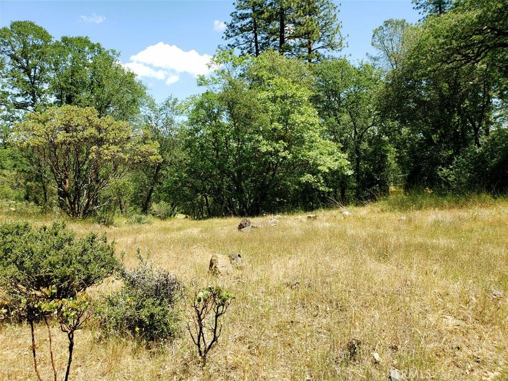 Image 15 of property listing at 13903 Ingersoll Drive, Dobbins, CA 95935