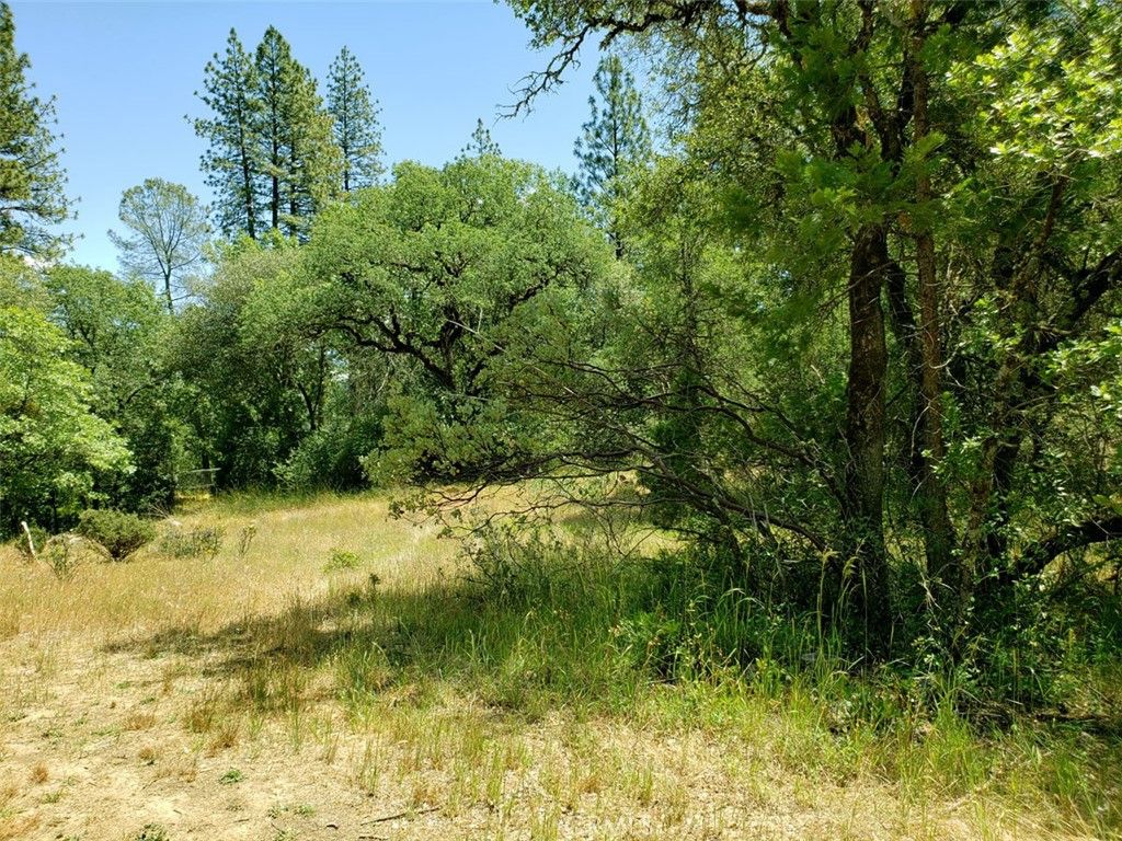 Image 16 of property listing at 13903 Ingersoll Drive, Dobbins, CA 95935