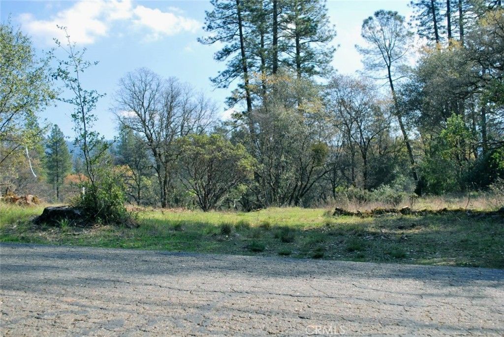 Image 21 of property listing at 13903 Ingersoll Drive, Dobbins, CA 95935