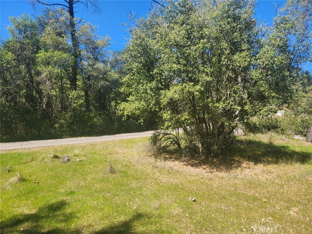 Image 5 of property listing at 13903 Ingersoll Drive, Dobbins, CA 95935