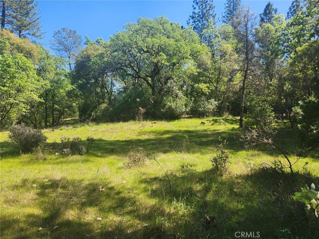 Image 8 of property listing at 13903 Ingersoll Drive, Dobbins, CA 95935