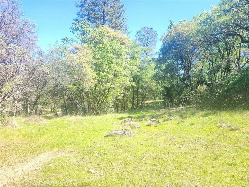 Image 9 of property listing at 13903 Ingersoll Drive, Dobbins, CA 95935