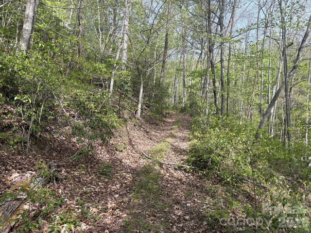 999999 Harwood Road, Barnardsville, NC 28709