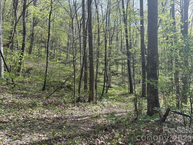 999999 Harwood Road, Barnardsville, NC 28709