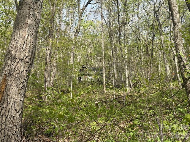 999999 Harwood Road, Barnardsville, NC 28709