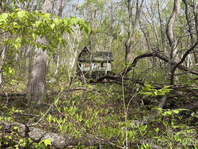 999999 Harwood Road, Barnardsville, NC 28709