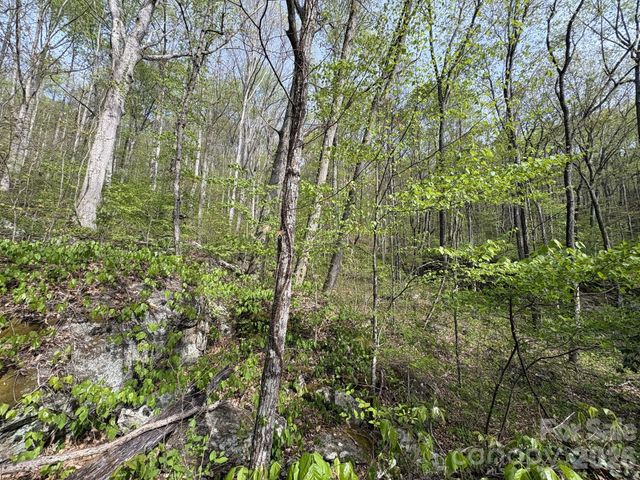 999999 Harwood Road, Barnardsville, NC 28709