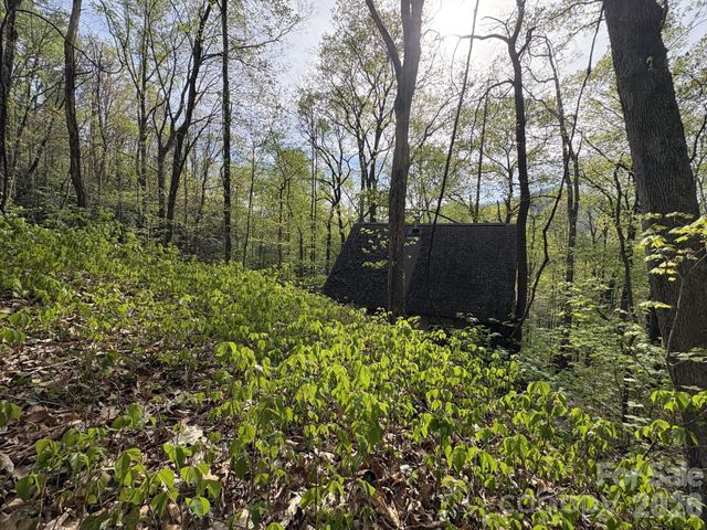 999999 Harwood Road, Barnardsville, NC 28709