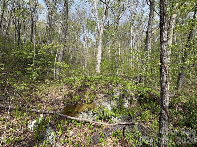 999999 Harwood Road, Barnardsville, NC 28709
