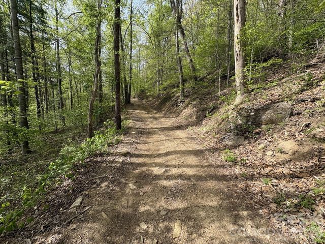 999999 Harwood Road, Barnardsville, NC 28709
