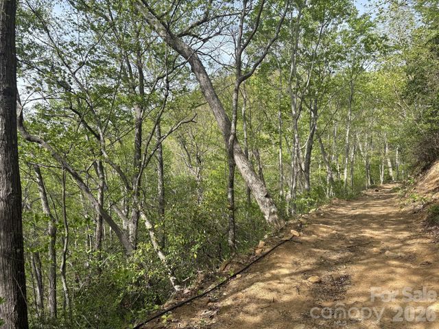 999999 Harwood Road, Barnardsville, NC 28709