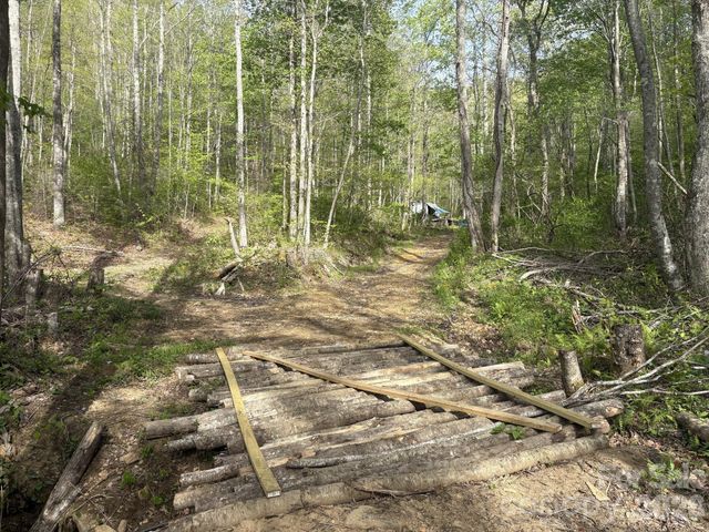 999999 Harwood Road, Barnardsville, NC 28709