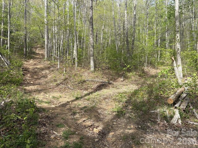 999999 Harwood Road, Barnardsville, NC 28709