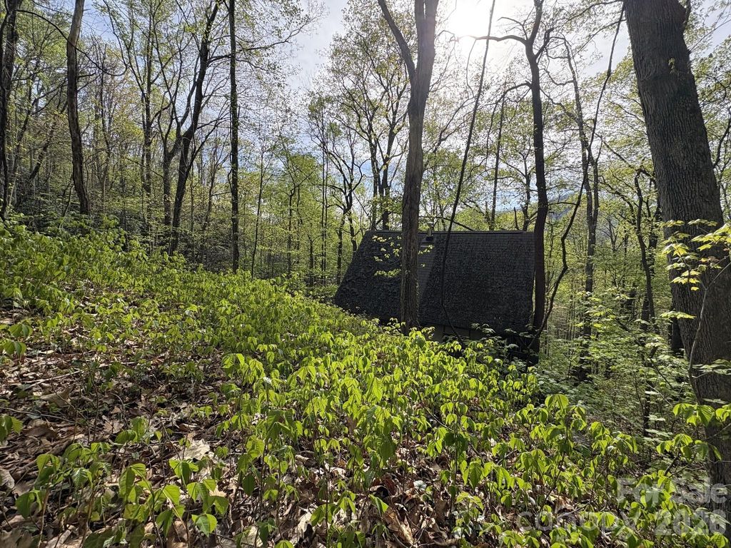 999999 Harwood Road, Barnardsville, NC 28709