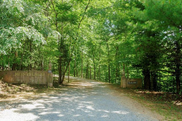250 Montilago DR, Moneta, VA 24121