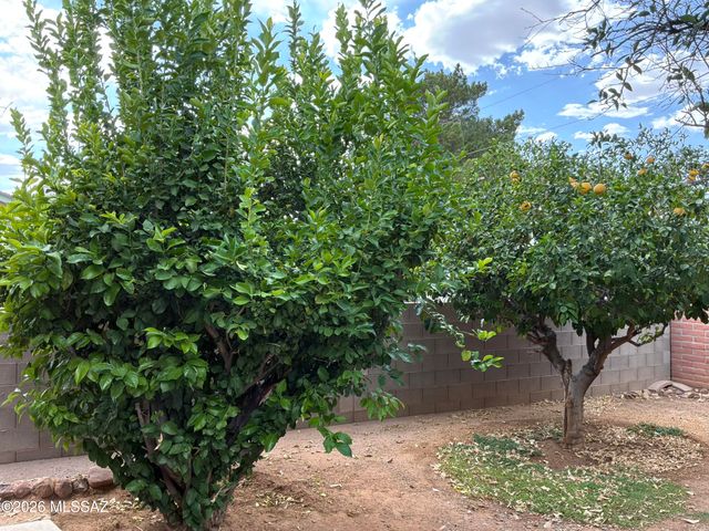 118 W Andrew Potter Street, Corona De Tucson, AZ 85641