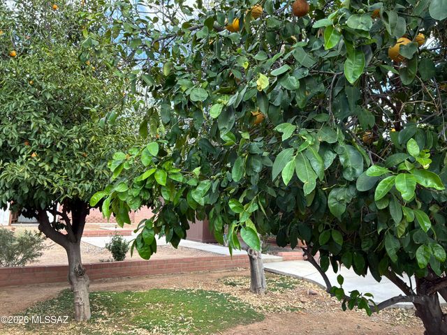 118 W Andrew Potter Street, Corona De Tucson, AZ 85641