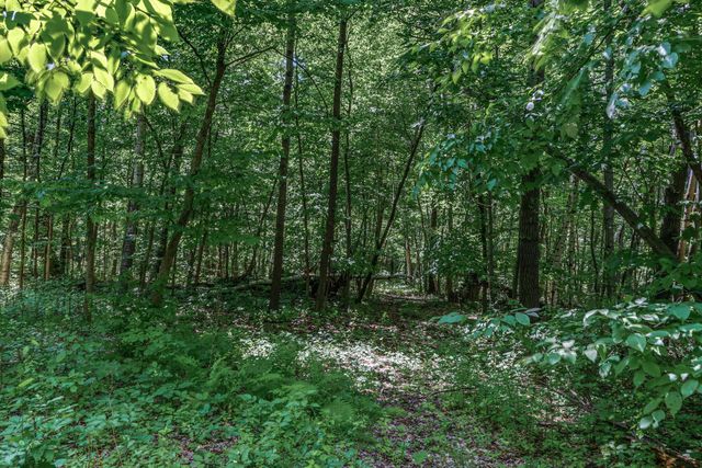 25179 Itasca Avenue, Forest Lake, MN 55025