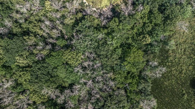 25179 Itasca Avenue, Forest Lake, MN 55025