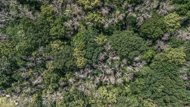 25179 Itasca Avenue, Forest Lake, MN 55025