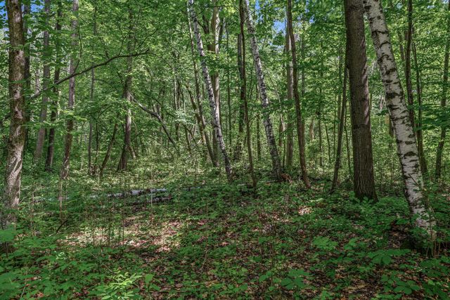 25179 Itasca Avenue, Forest Lake, MN 55025