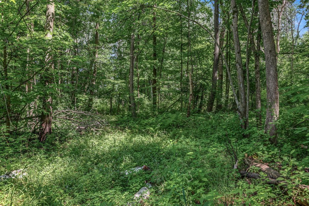 25179 Itasca Avenue, Forest Lake, MN 55025 — photo 4
