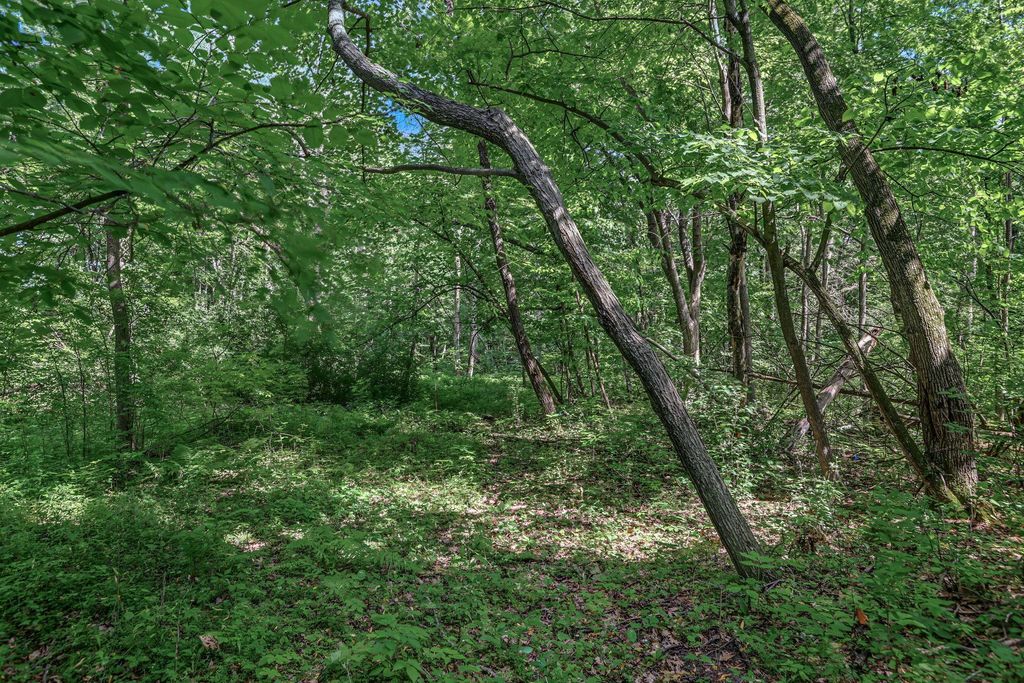 25179 Itasca Avenue, Forest Lake, MN 55025 — photo 5